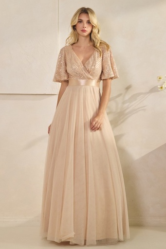 3014 ILY FROM VESTIDO TUL CHAMPAGNE